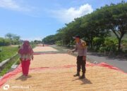 Bhabinkamtibmas Desa Hu’u Ajak Warga Waspadai Cuaca Demi Jaga Kualitas Panen Jagung