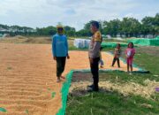 Dukung Ketahanan Pangan, Bhabinkamtibmas Desa Marada Lakukan Pemantauan Hasil Panen Jagung Warga