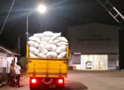 Apresiasi Petani Jagung utk Polsek Manggelewa: Polisi Hadir Bantu Ketahanan Pangan