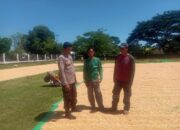 Bhabinkamtibmas Desa Rasabou Lakukan Pemantauan Jelang Panen Jagung, Dukung Ketahanan Pangan Nasiona