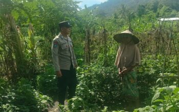 Bhabinkamtibmas Babussalam Gencarkan Ketahanan Pangan di Lombok Barat