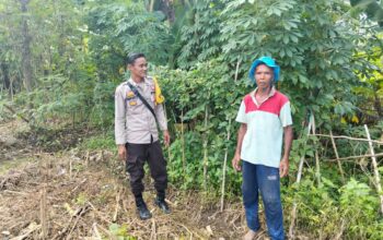 Bhabinkamtibmas Desa Rumak Aktif Edukasi Warga Soal Swasembada Pangan