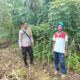 Polri Kawal Ketahanan Pangan, Warga Rumak Tanam Palawija di Pekarangan