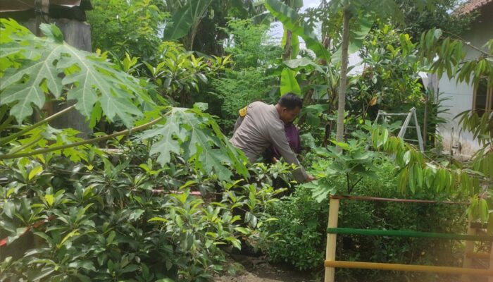 Gerung Kembangkan Ketahanan Pangan Lewat Kolaborasi Warga dan Polisi