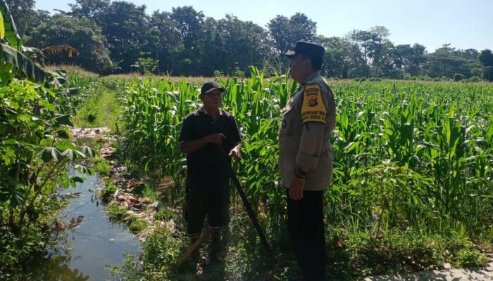 Sinergi Polisi dan Petani Wujudkan Ketahanan Pangan di Gerung Selatan