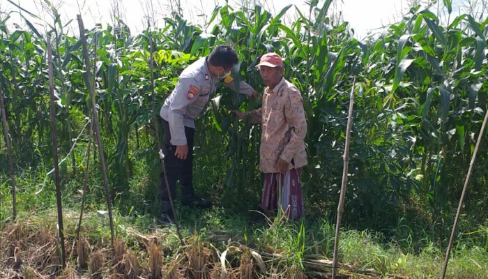 Sinergi Polri dan Warga Tingkatkan Kemandirian Pangan