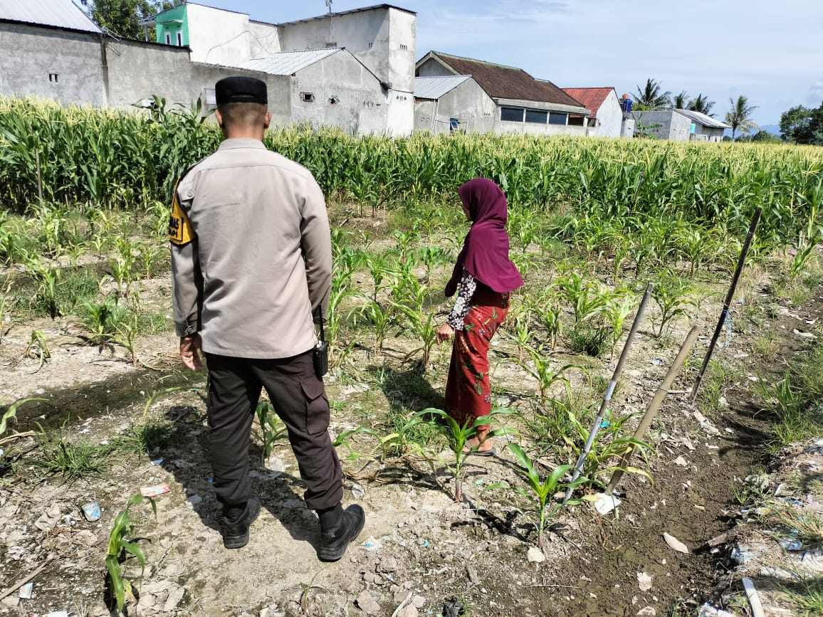 Bhabinkamtibmas Labuapi Dorong Pemanfaatan Lahan Demi Ketahanan Pangan