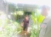Bhabinkamtibmas Labuapi Gandeng Petani Tingkatkan Ketahanan Pangan dan Jaga Kamtibmas