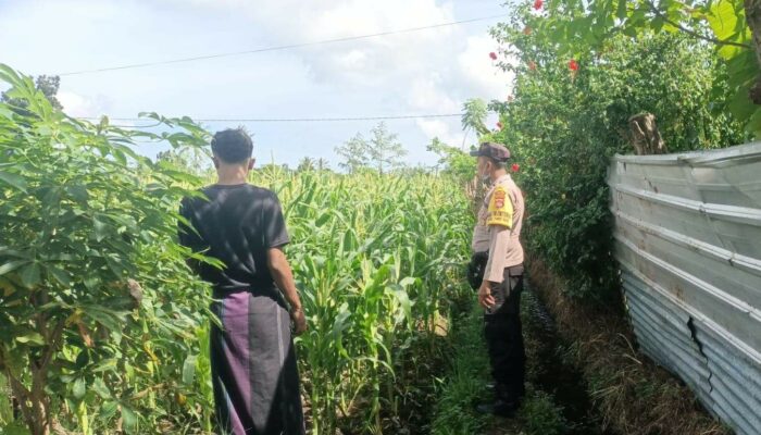 Sinergi Polri dan Petani di Desa Ombe Baru, Lombok Barat
