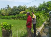 Bhabinkamtibmas Sekotong Dukung Swasembada Pangan di Batu Putih