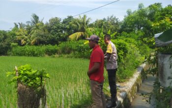 Bhabinkamtibmas Sekotong Dukung Swasembada Pangan di Batu Putih