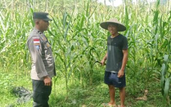 Bhabinkamtibmas Taman Baru Giat Dorong Pemanfaatan Lahan Kosong