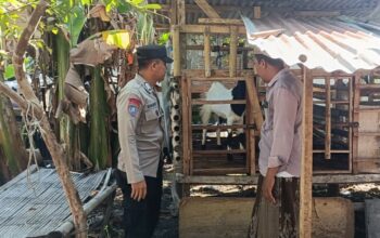 Lahan Pekarangan Jadi Solusi Pangan, Polri Aktif di NTB