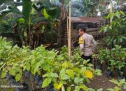Sinergi Polri dan Pemuda Dorong Swasembada Pangan di Kuripan