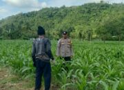 Kunjungan DDS: Ketahanan Pangan dan Kamtibmas Jadi Fokus Polisi Sekotong