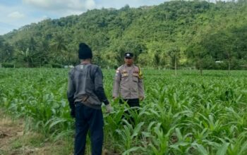 Kunjungan DDS: Ketahanan Pangan dan Kamtibmas Jadi Fokus Polisi Sekotong