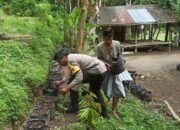 Inovasi Ketahanan Pangan dari Lombok Barat: Optimalisasi Lahan Pekarangan Warga