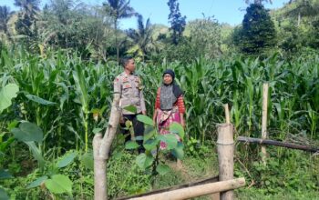 Peran Bhabinkamtibmas Desa Sekotong Timur dalam Program Pangan Nasional