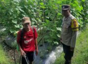 Peran Polri di Montong Are dalam Ketahanan Pangan Nasional