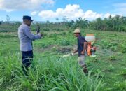 Polri Dorong Pertanian Produktif di Desa Pelangan, Sekotong