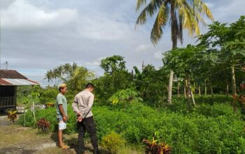 Polri Dukung Ketahanan Pangan di Dusun Tambang Eleh, Lombok Barat