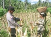Bangun Pagi: Rahasia Sukses dan Bahagia Terungkap?