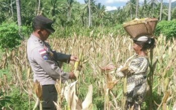 Bangun Pagi: Rahasia Sukses dan Bahagia Terungkap?