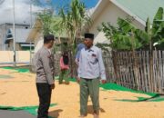 Dukung Program Ketahanan Pangan, Bhabinkamtibmas Desa Daha Laksanakan Pemantauan Hasil Panen Jagung Warga