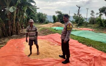 Bhabinkamtibmas Desa Cempi Jaya Lakukan Pemantauan Hasil Panen Warga Dukung Program Ketahanan Pangan Nasional