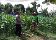 Program Ketahanan Pangan: Peran Strategis Bhabinkamtibmas di Desa Bagik Polak Barat