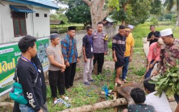 Keluarga Besar Polsek Manggelewa dan Bhayangkari Berbagi Daging Kurban di Hari Raya Iduladha 1446 H