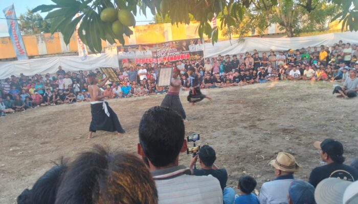 Meriah dan Sakral, Festival Peresean Guncang Lombok Barat