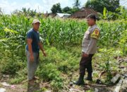 Polres Lombok Barat Dorong Ketahanan Pangan Desa Jembatan Gantung