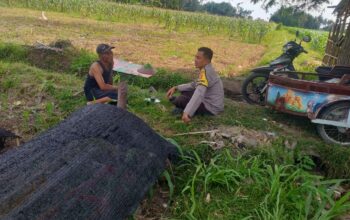Polres Lombok Barat Dukung Petani Wujudkan Ketahanan Pangan di Lembar
