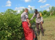 Dukung Penuh Indonesia Yang Swasembada Pangan, Bhabinkamtibmas Polsek Sanggar Pantau Lahan Sayur Milik Warga Binaan
