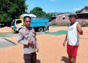 Dukung Program Prioritas Presiden, Bhabinkamtibmas Polsek Bolo Cek dan Bantu Jemur Jagung Warga