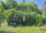 Bhabinkamtibmas Desa Luk Dorong Warga Manfaatkan Lahan untuk Ketahanan Pangan