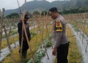 Bhabinkamtibmas Desa Senayan Dampingi Pengelolaan Pekarangan Pangan Bergizi untuk Dukung Ketahanan Pangan