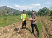 Jelang Hari Bhayangkara ke-79, Brigadir Kamaludin Bagikan 100 Bibit Ternak dan 1.000 Bibit Tanaman Bergizi kepada Warga Desa Sermong