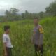 Ketahanan Pangan dan Keamanan Diperkuat di Sekotong Tengah Lewat DDS Bhabinkamtibmas