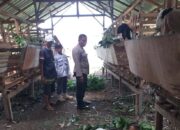 DDS Bhabinkamtibmas di Kuripan Timur, Perkuat Ketahanan Pangan Lokal