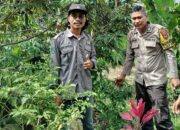 Edukasi Warga Manfaatkan Lahan Pekarangan, Bhabinkamtibmas Polsek Donggo Sukseskan Program Ketahanan Pangan Nasional