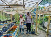 Bhabinkamtibmas Ajak Warga Dusun Tempit Tanam Sayur di Pekarangan Rumah