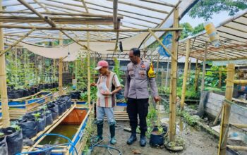 Bhabinkamtibmas Ajak Warga Dusun Tempit Tanam Sayur di Pekarangan Rumah