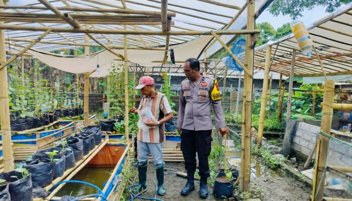 Pemanfaatan Pekarangan Rumah di Dusun Tempit Jadi Contoh Ketahanan Pangan Berbasis Warga