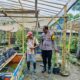 Pemanfaatan Pekarangan Rumah di Dusun Tempit Jadi Contoh Ketahanan Pangan Berbasis Warga