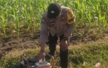 Bhabinkamtibmas Karang Bongkot Dukung Petani Jagung Manis Eksotik Lombok Barat