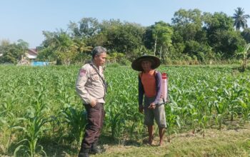 Bhabinkamtibmas Desa Sandik Ajak Warga Dusun Tato Barat Wujudkan Swasembada Pangan
