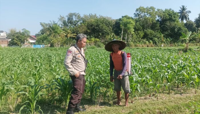 Bhabinkamtibmas Desa Sandik Ajak Warga Dusun Tato Barat Wujudkan Swasembada Pangan