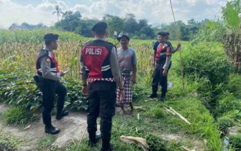 Polisi Lakukan Patroli Tanam Jagung di Dusun Kelebut untuk Dukung Swasembada Pangan